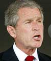 Выглянут ли в окно Буш и Блэр?